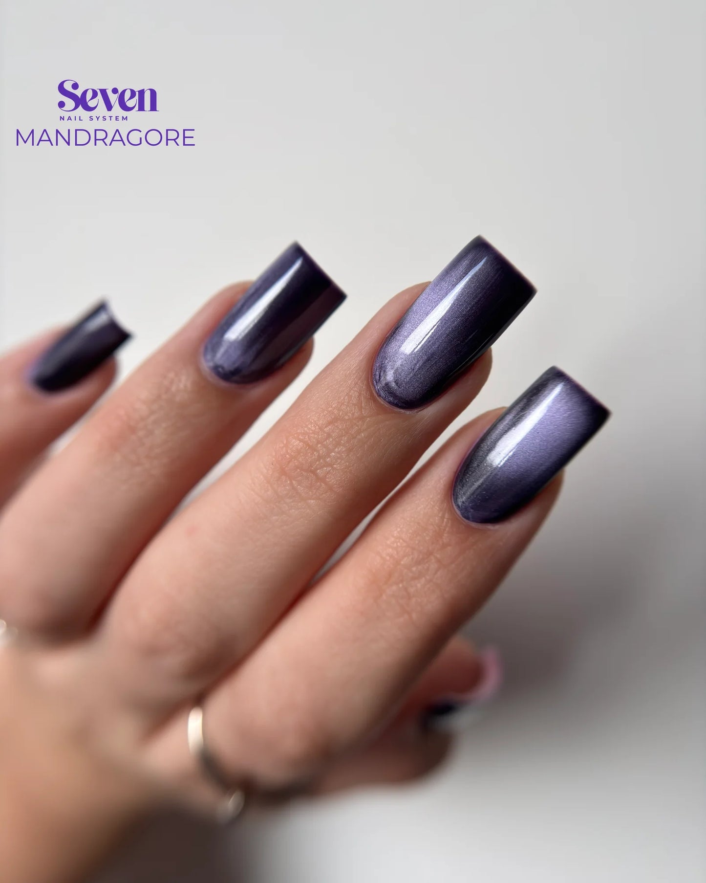 Collection VSP Violets