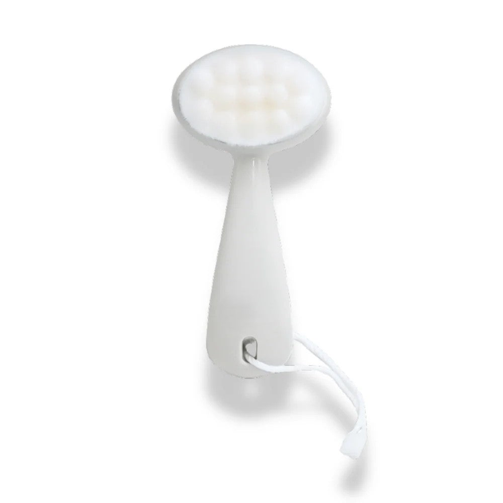 Brosse Dépoussiérante Pingouin