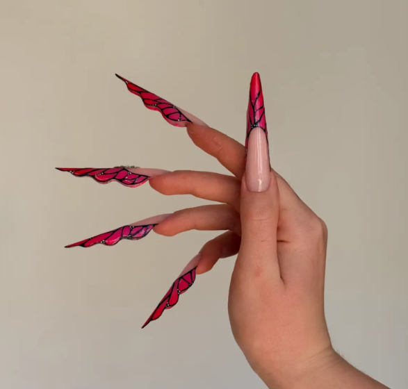 DUAL FORM – POPIT Artistic Shape BUTTERFLY