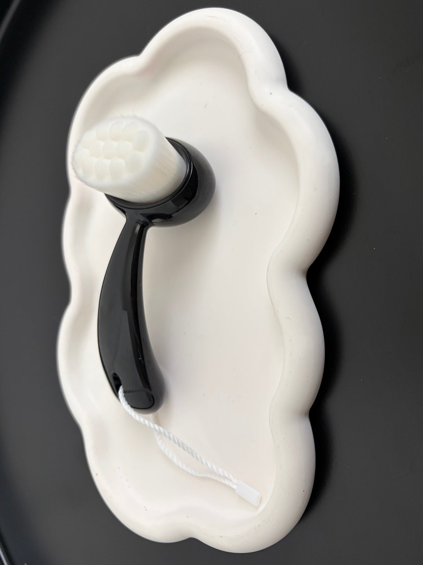 Brosse Dépoussiérante Pinguin