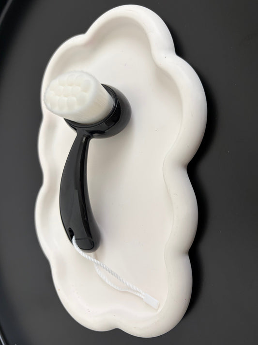 Brosse Dépoussiérante Pinguin