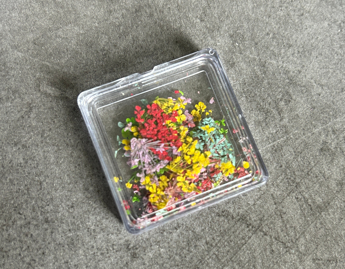 Boîte de fleurs séchées