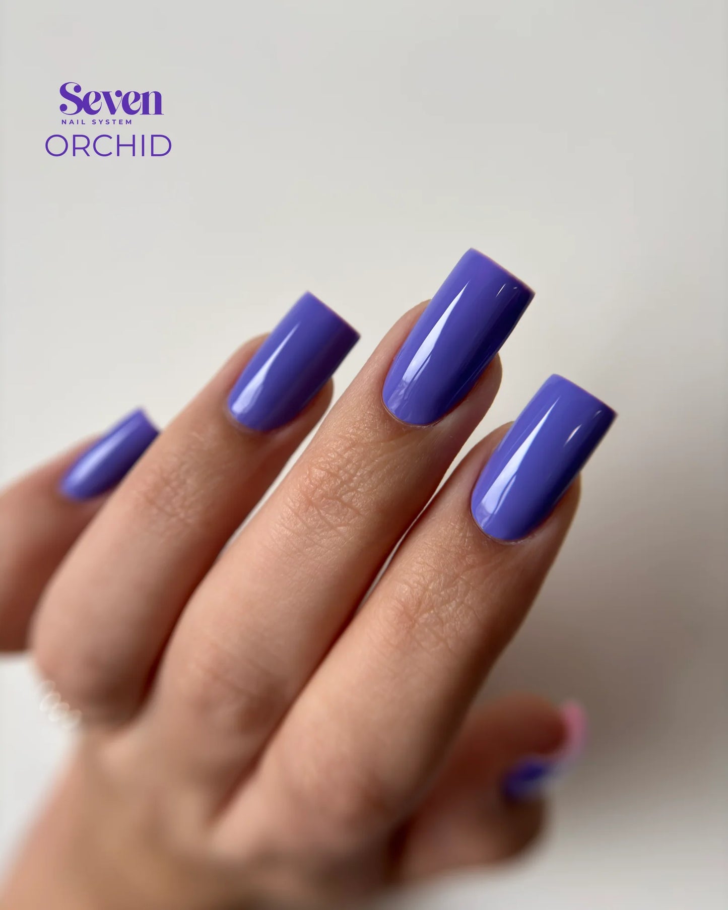 Collection VSP Violets