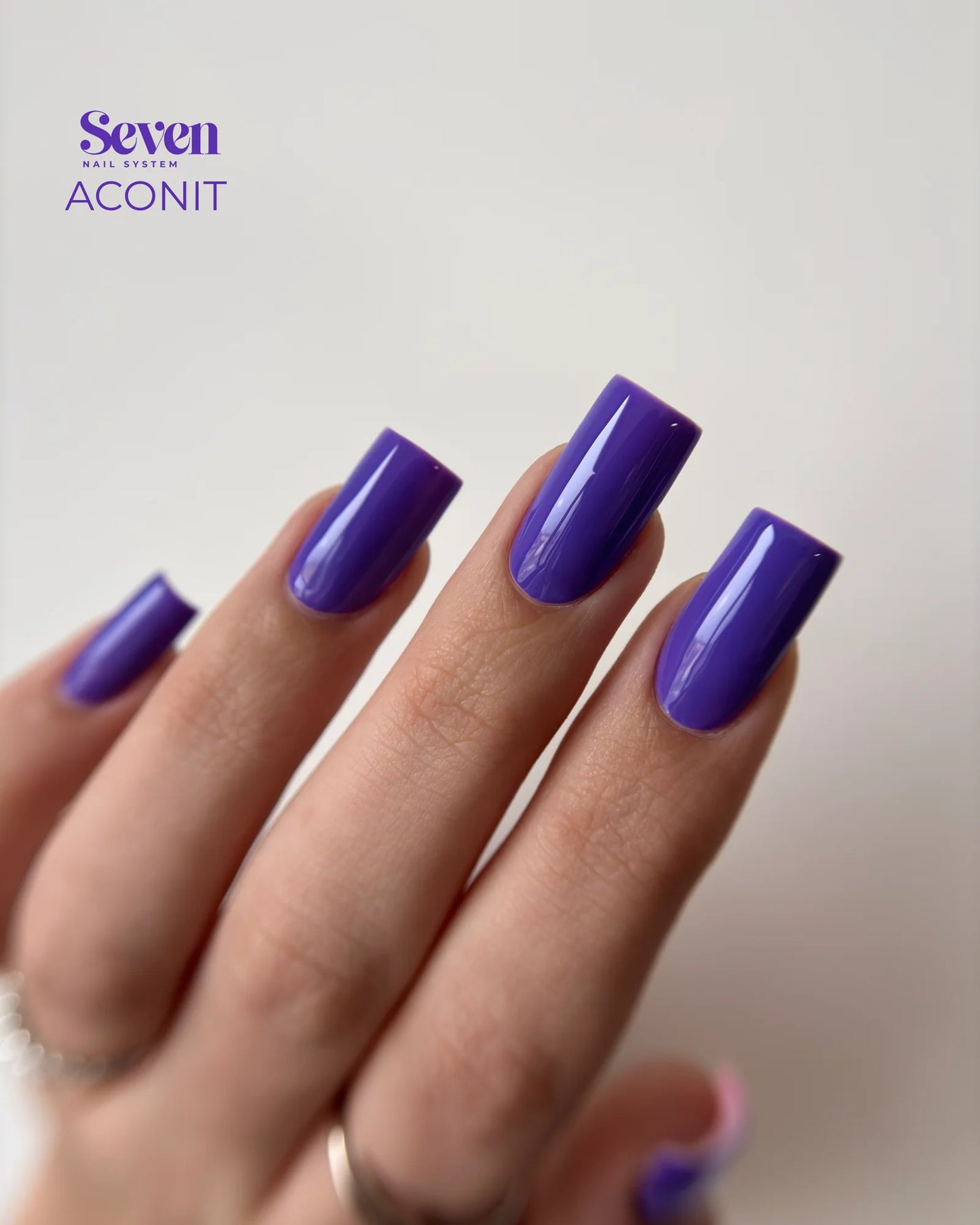 Collection VSP Violets