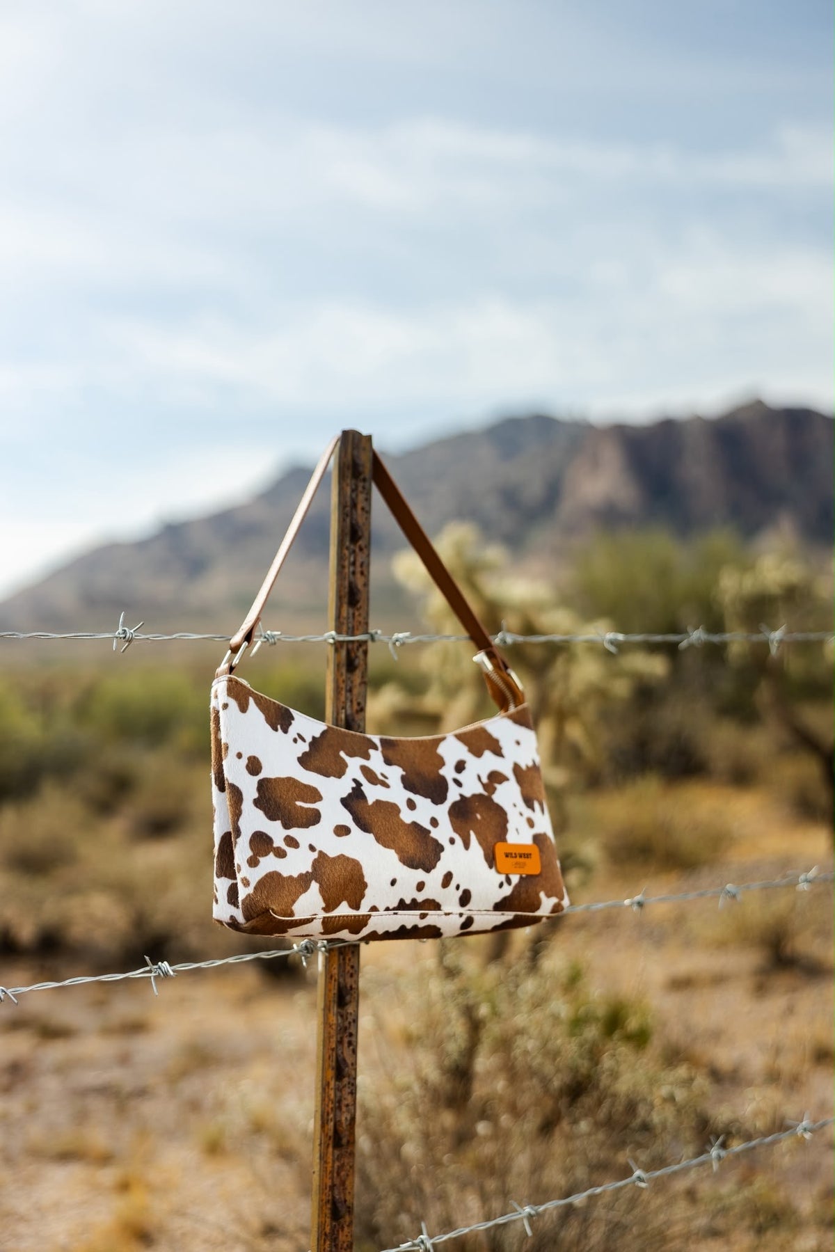 Collection Wild West ( Automne 2026)