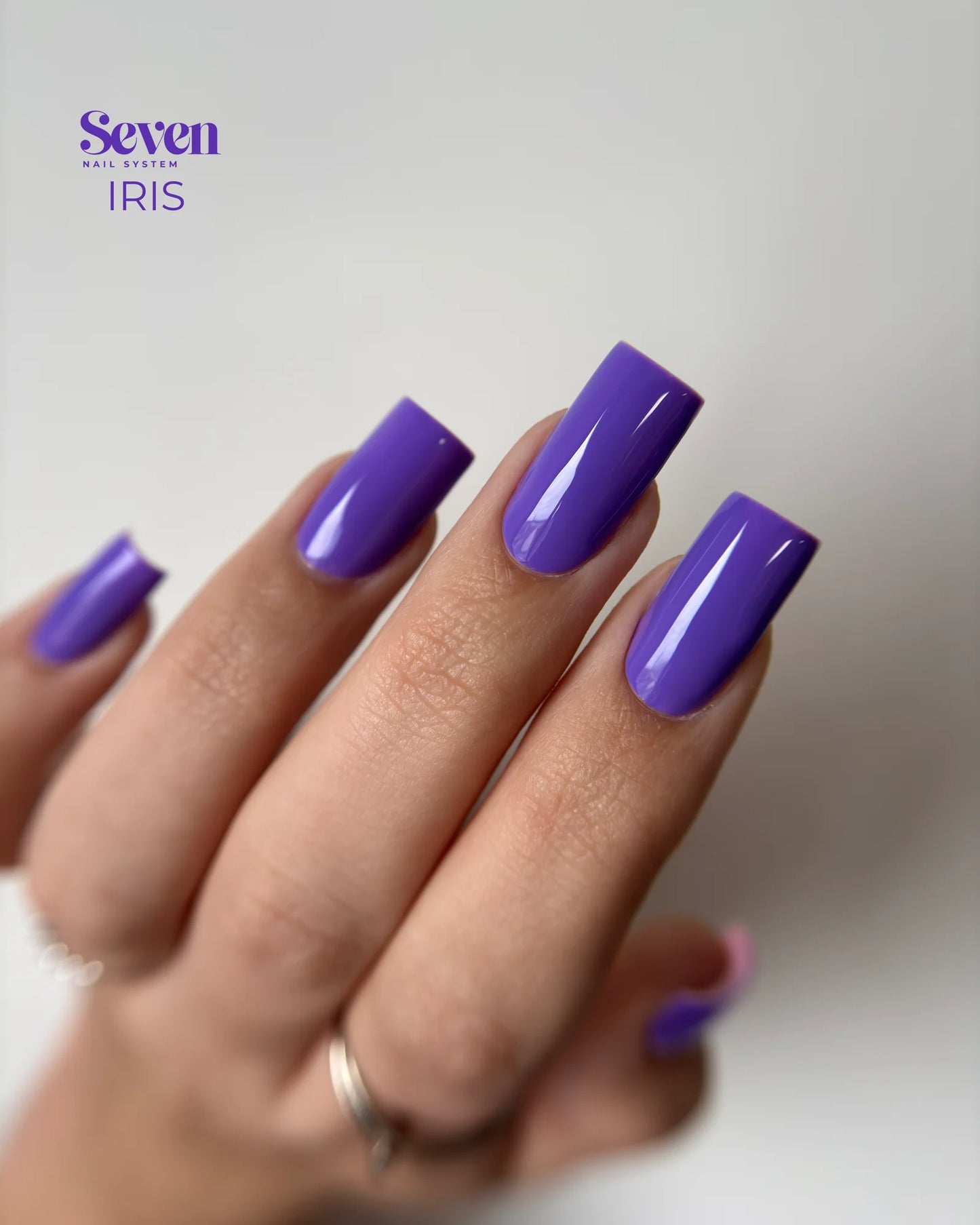 Collection VSP Violets