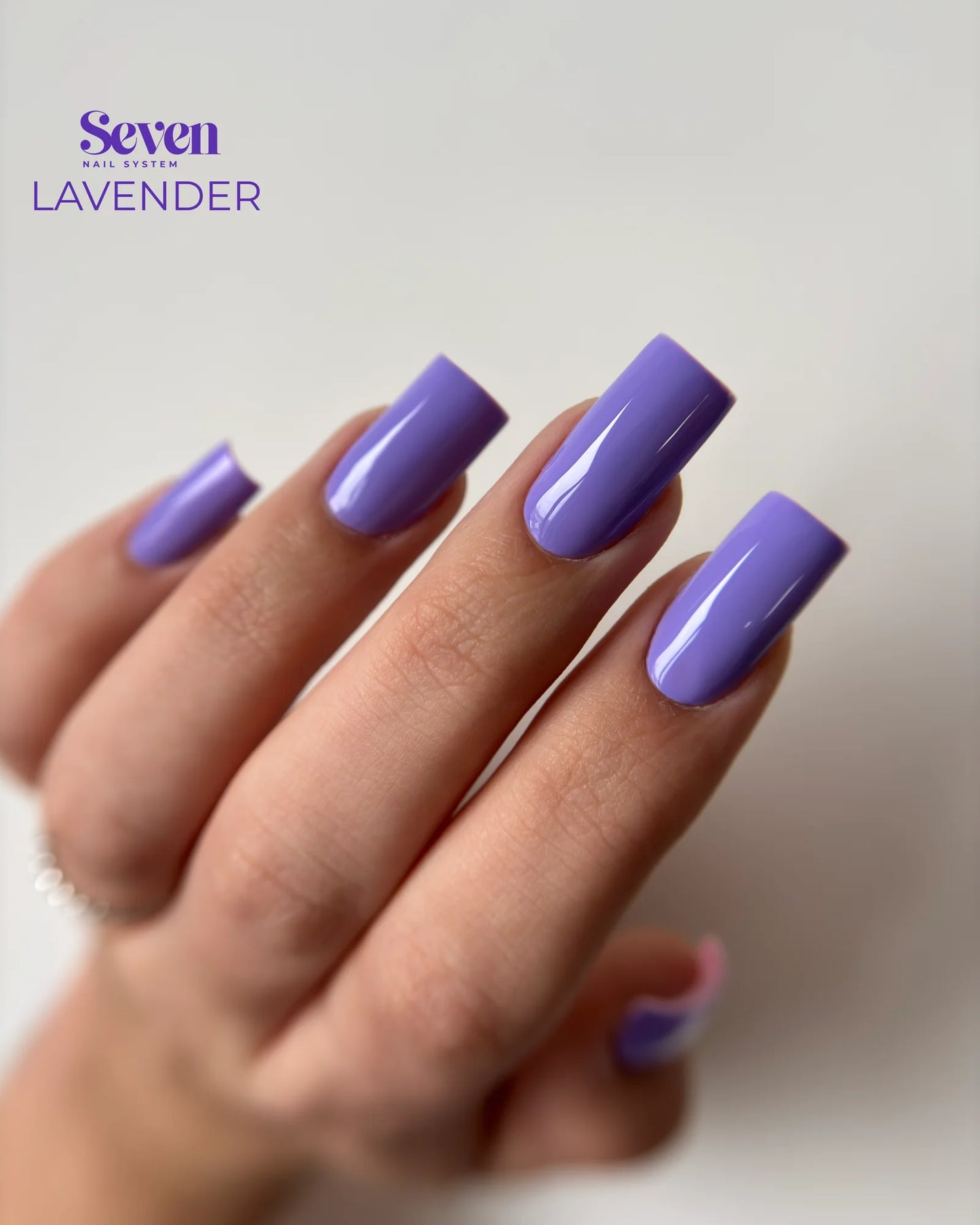 Collection VSP Violets
